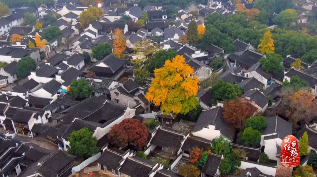 一条街108座祠堂？他们不是修祠堂上瘾，而是要让后人记住来时的