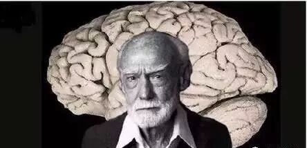 全脑教育，让孩子从小就与众不同！