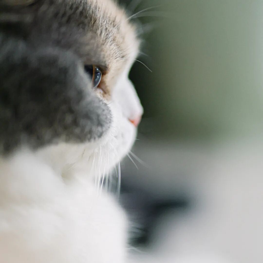 640?wx_fmt=jpeg&tp=webp&wxfrom=5&wx_lazy=1&wx_co=1