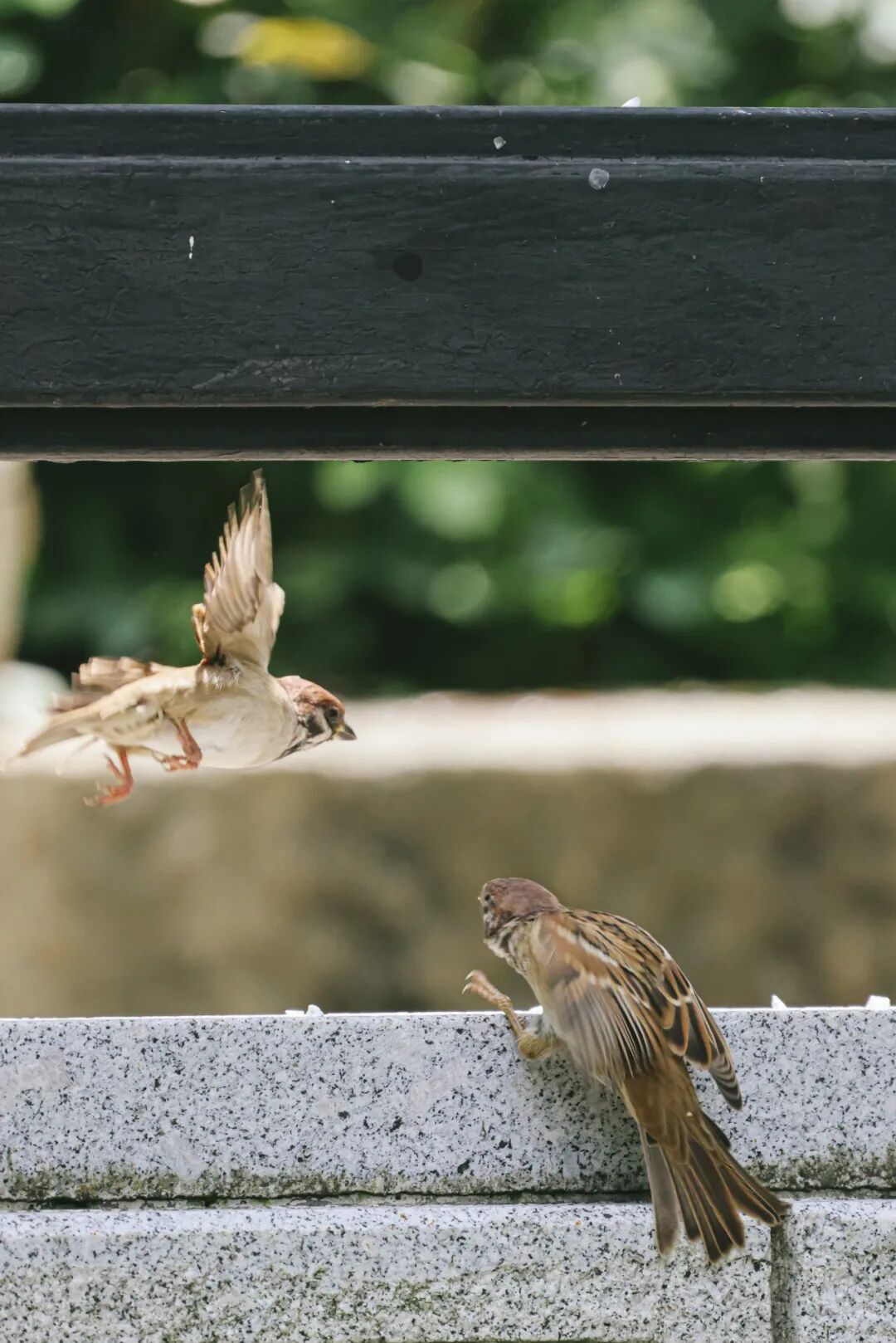 640?wx_fmt=jpeg&tp=webp&wxfrom=5&wx_lazy=1&wx_co=1