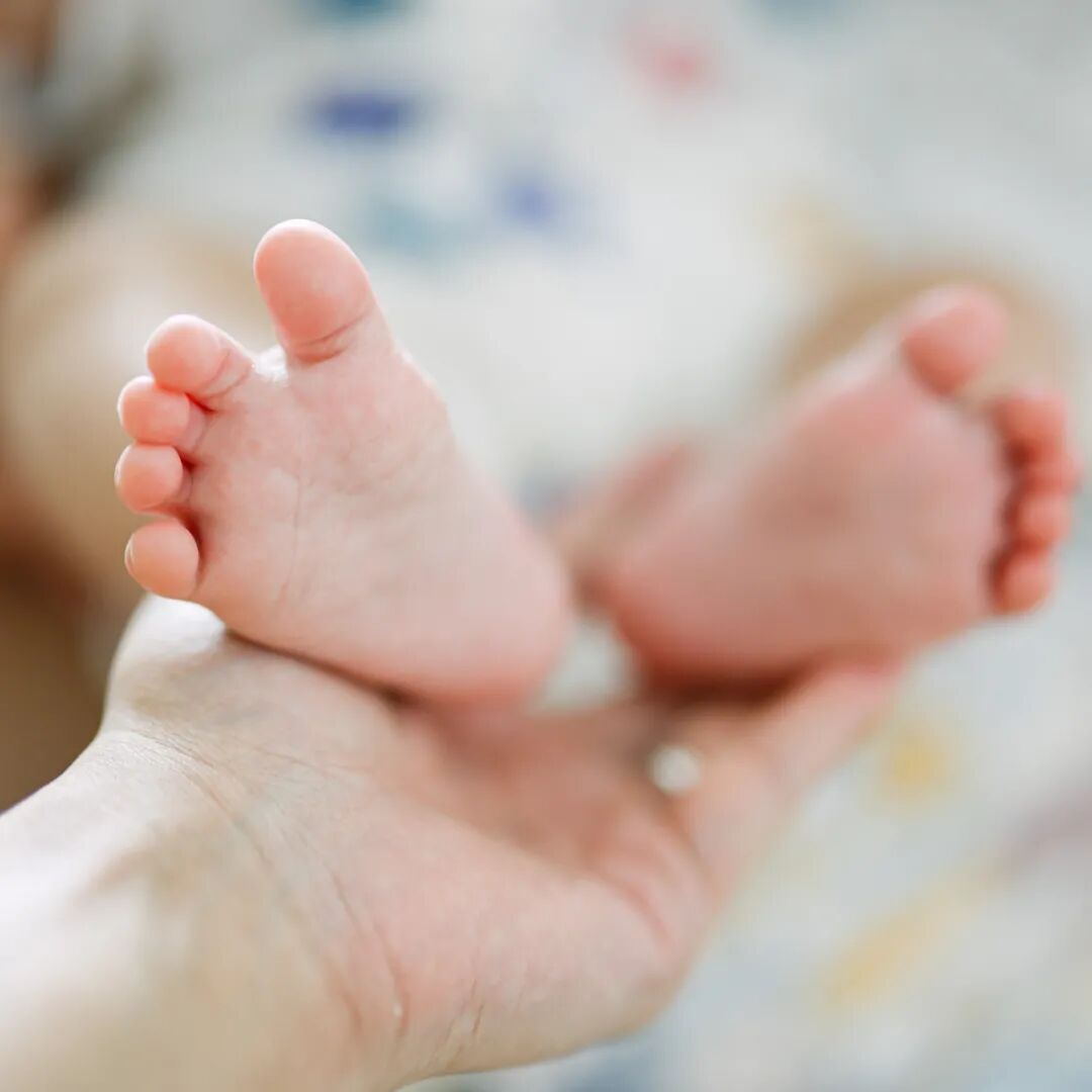 640?wx_fmt=jpeg&tp=webp&wxfrom=5&wx_lazy=1&wx_co=1