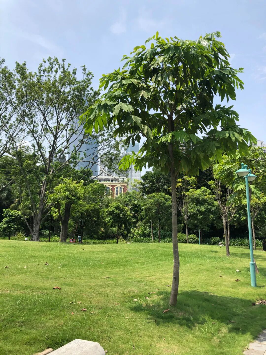 640?wx_fmt=jpeg&tp=webp&wxfrom=5&wx_lazy=1&wx_co=1