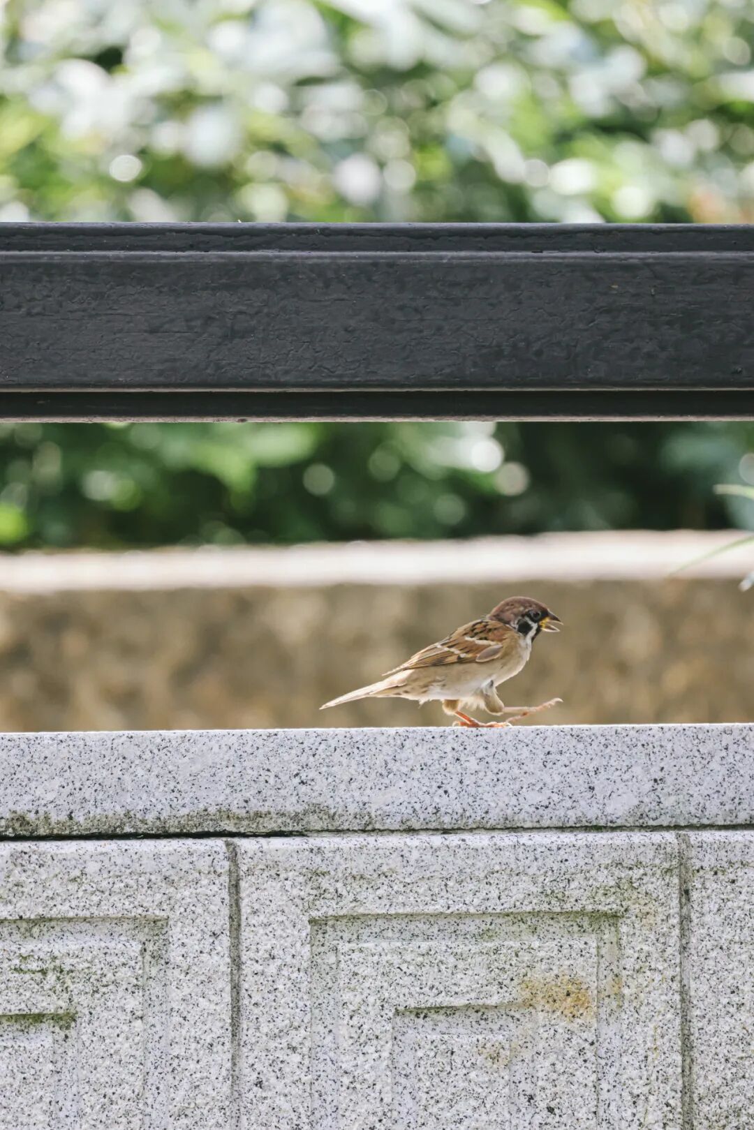 640?wx_fmt=jpeg&tp=webp&wxfrom=5&wx_lazy=1&wx_co=1