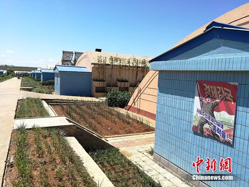 走进朝鲜：智能手机可上网 姑娘爱看《红高粱》