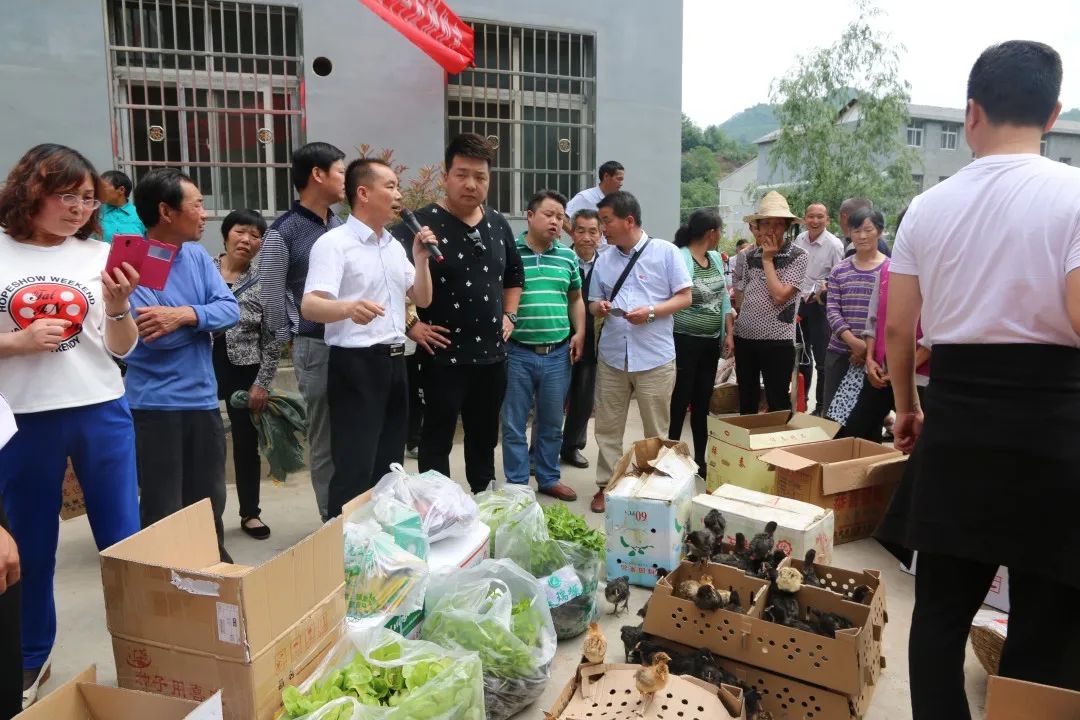 联络员:你是忠诚村党支部书记,安康天瑞塬生态农业有限公司董事长