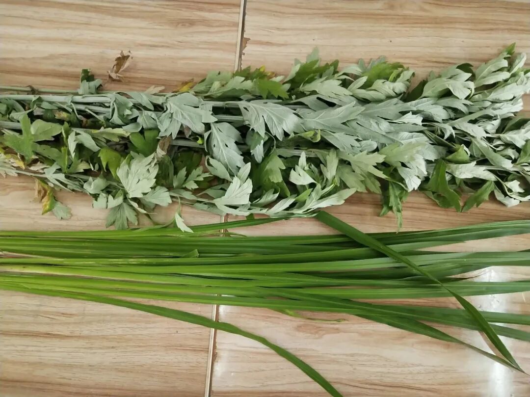 谢坪故事之:端午节门上插菖蒲和艾草的习俗由来