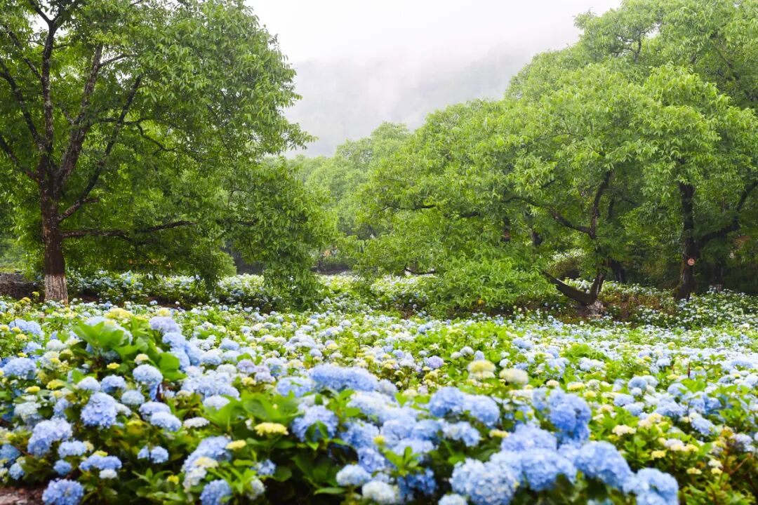 大理苍山石门关