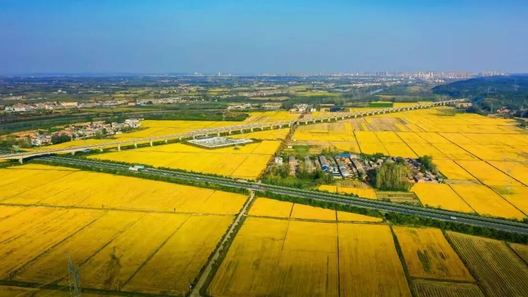 新年贺词 | 风劲帆满图新志 勇毅笃行再出发新年贺词,华夏农耕文明,随县发展,经济增长,社会事业进步
