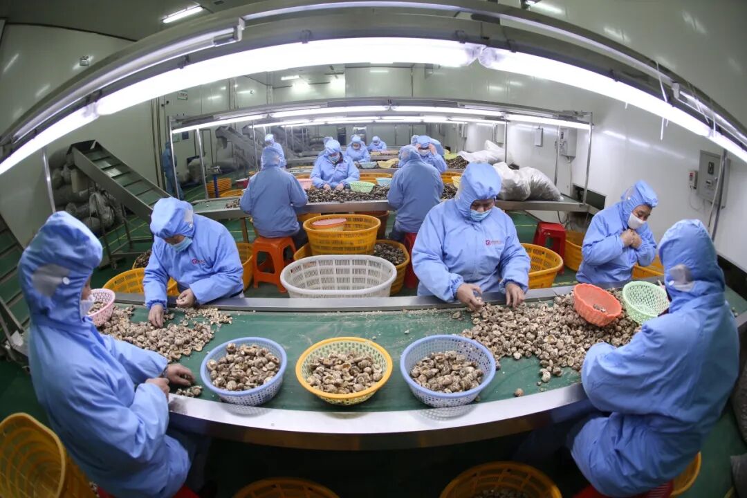 新年贺词 | 风劲帆满图新志 勇毅笃行再出发新年贺词,华夏农耕文明,随县发展,经济增长,社会事业进步