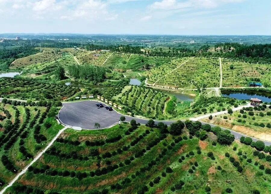 新年贺词 | 风劲帆满图新志 勇毅笃行再出发新年贺词,华夏农耕文明,随县发展,经济增长,社会事业进步