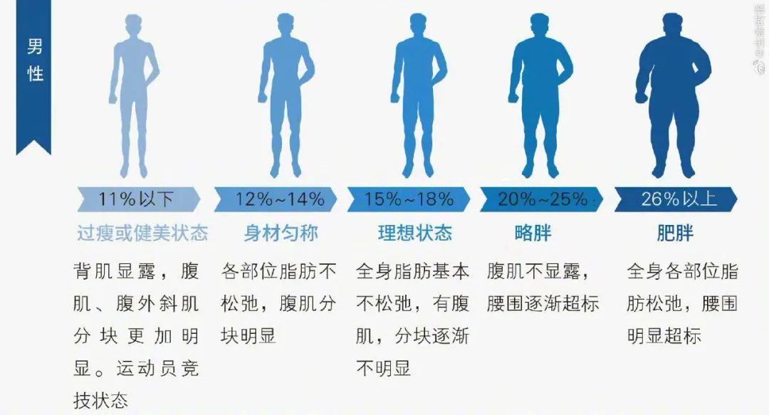 体脂率是衡量胖瘦的金标准