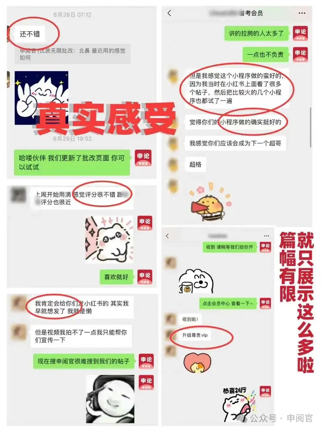 用户真实使用感受