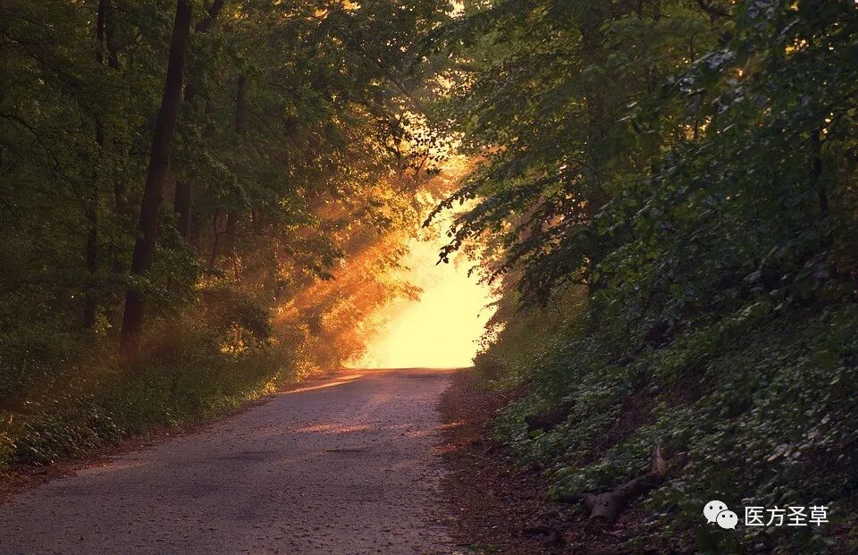 敷上药怎么写每日医方(杨氏诊所特效方汇编)_https://www.jmylbn.com_新闻资讯_第1张