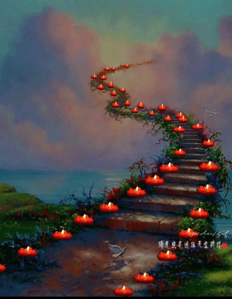 我们逝去的亲人，可能只是去了另一个纬度