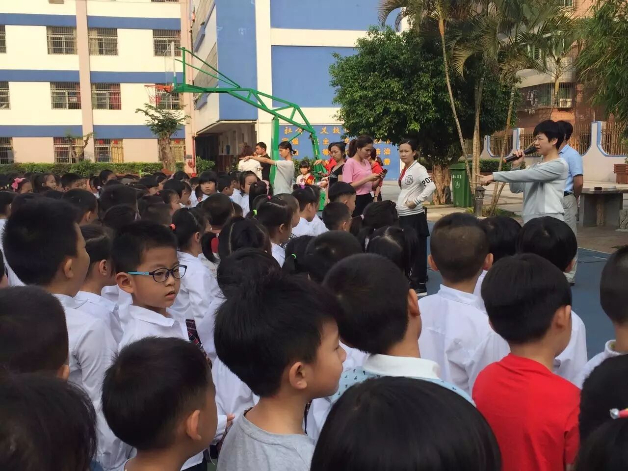 皮皮虾我们走,去围观山高是怎么把幼小衔接做成这样!