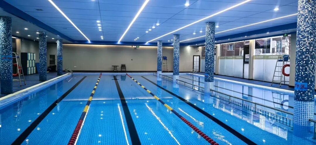 蓝鲨游泳培训基地