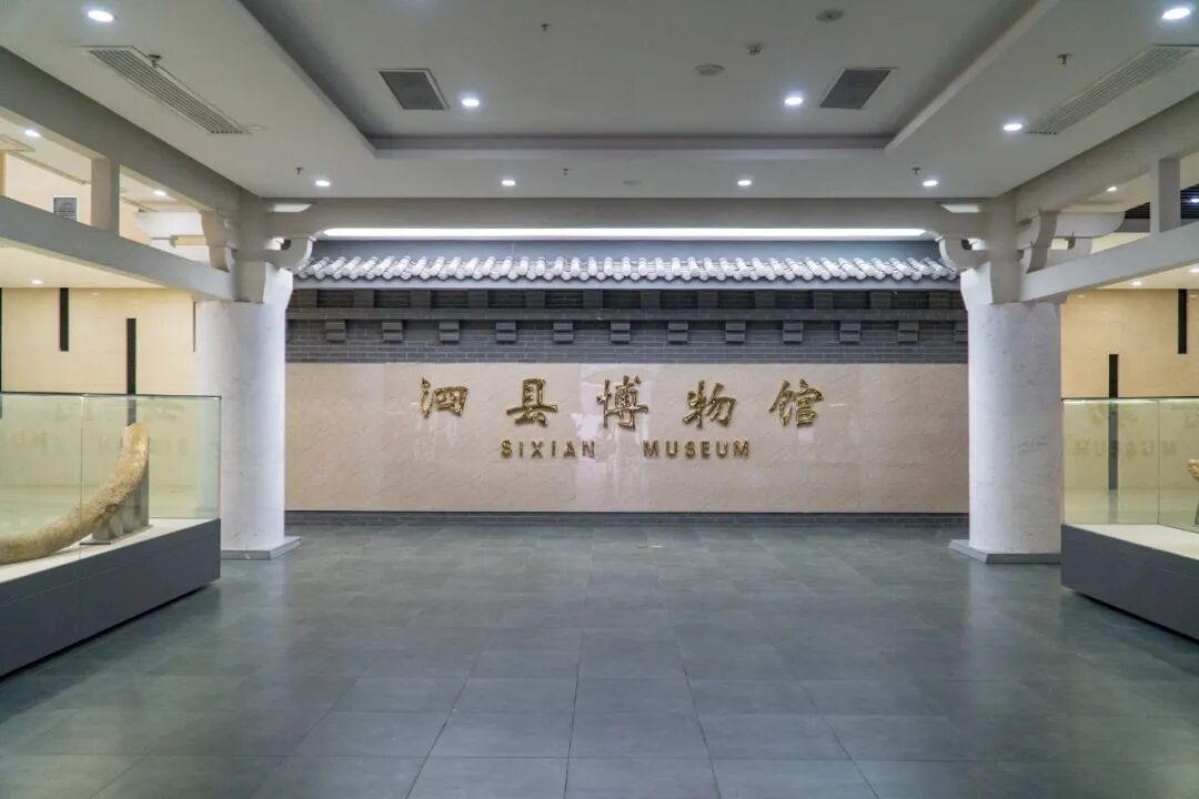 DSC01346.jpg