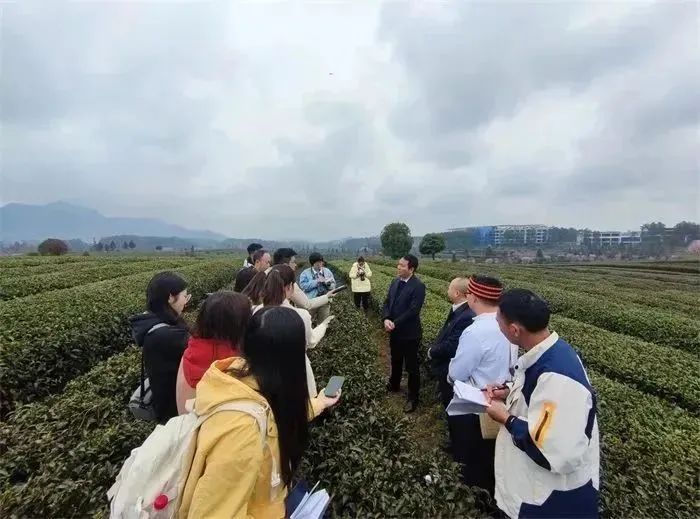 电力优质服务典型经验_电力典型经验材料范文_典型电力优质经验服务方案