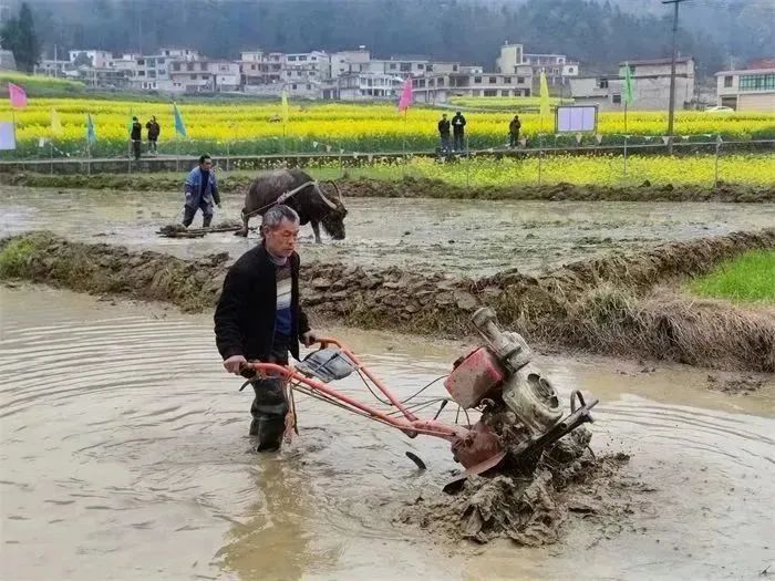 电力优质服务典型经验_典型电力优质经验服务方案_电力典型经验材料范文