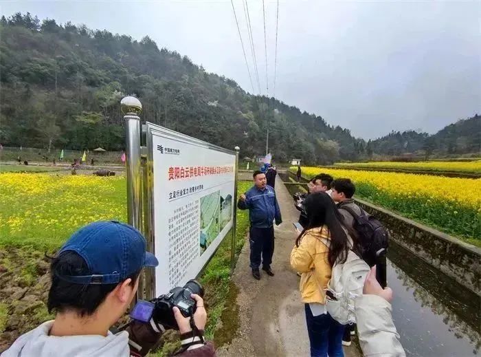 电力典型经验材料范文_典型电力优质经验服务方案_电力优质服务典型经验