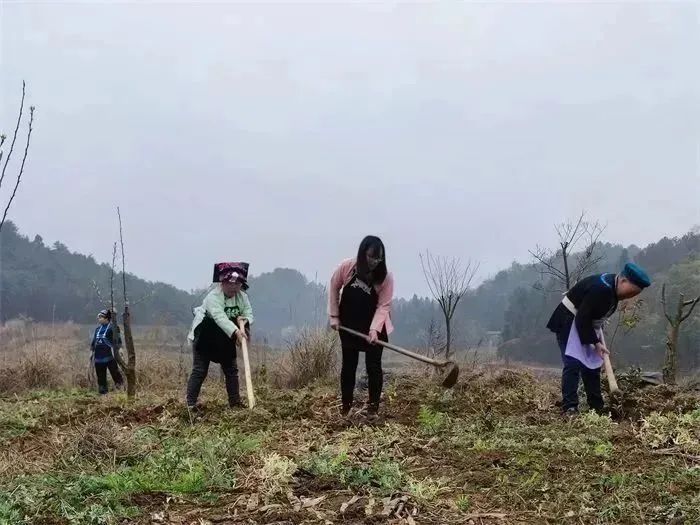 典型电力优质经验服务方案_电力典型经验材料范文_电力优质服务典型经验