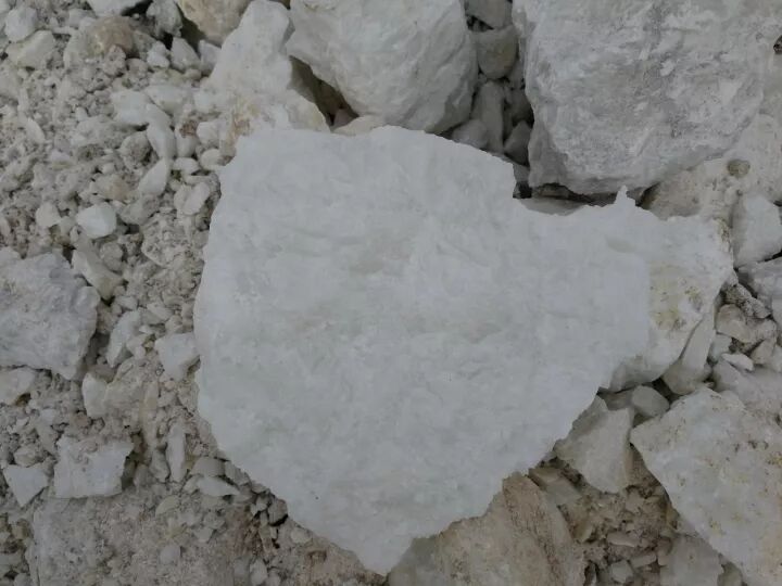 微信圖片_20210702095535