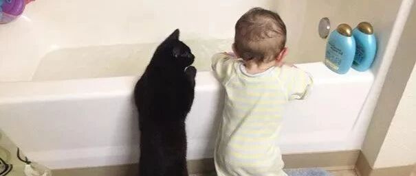 为什么猫咪会那么粘小铲屎官？