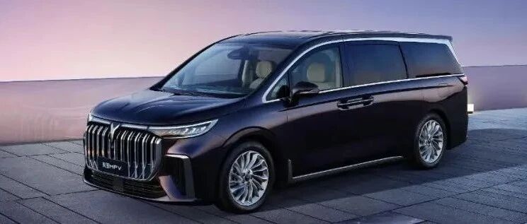 车长5米3，零百5秒9，赛那加价终结者来了？