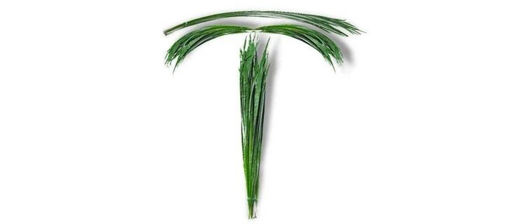 老车主不如“狗”？24.99万起，特斯拉Model 3又双叒叕降价！