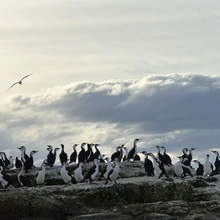 奇妙精灵怎么样南小精灵奇妙物语③——“新”声_https://www.jmylbn.com_新闻资讯_第7张