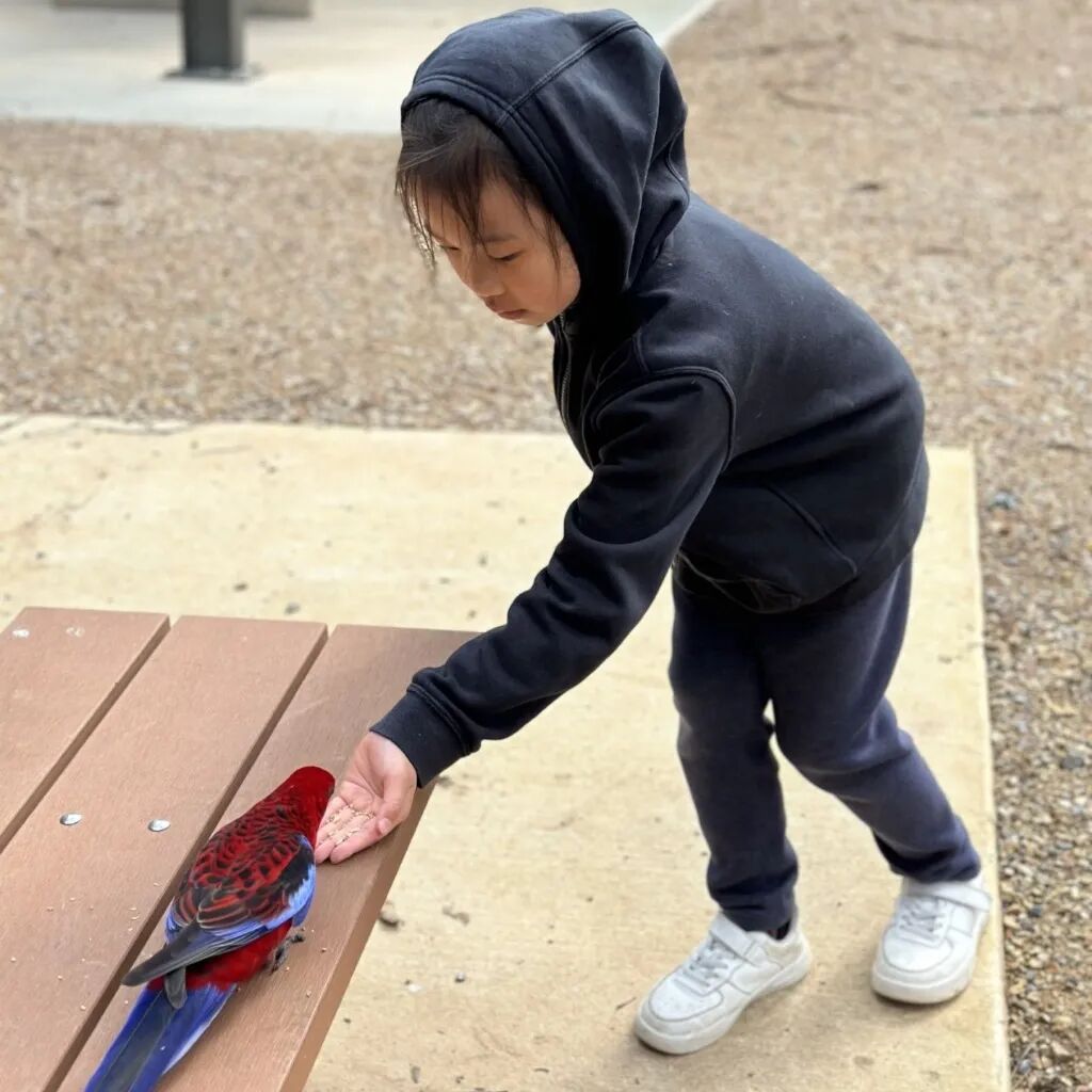 奇妙精灵怎么样南小精灵奇妙物语③——“新”声_https://www.jmylbn.com_新闻资讯_第8张