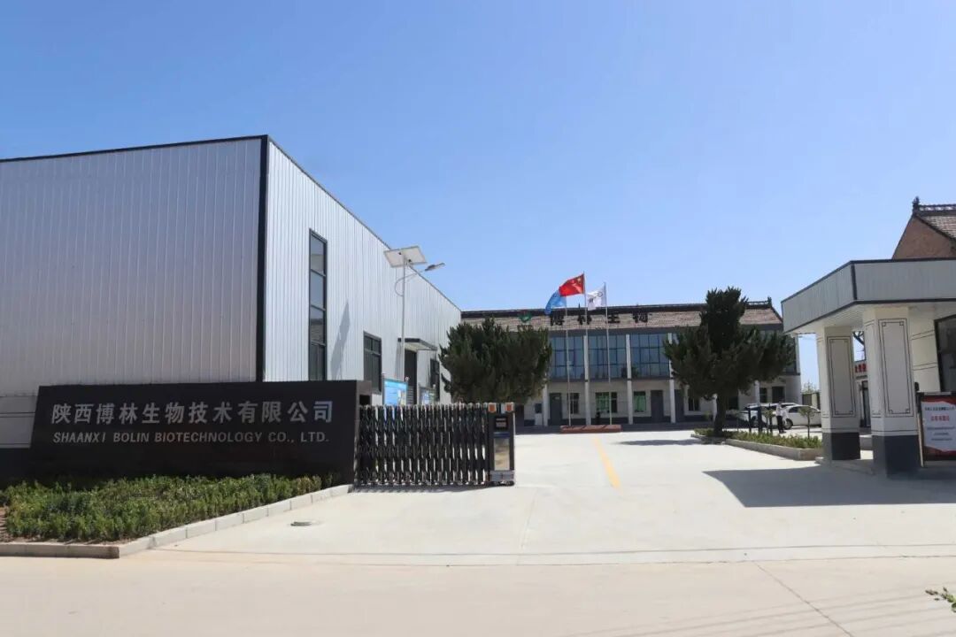 陕西博林_jpg_1.jpg