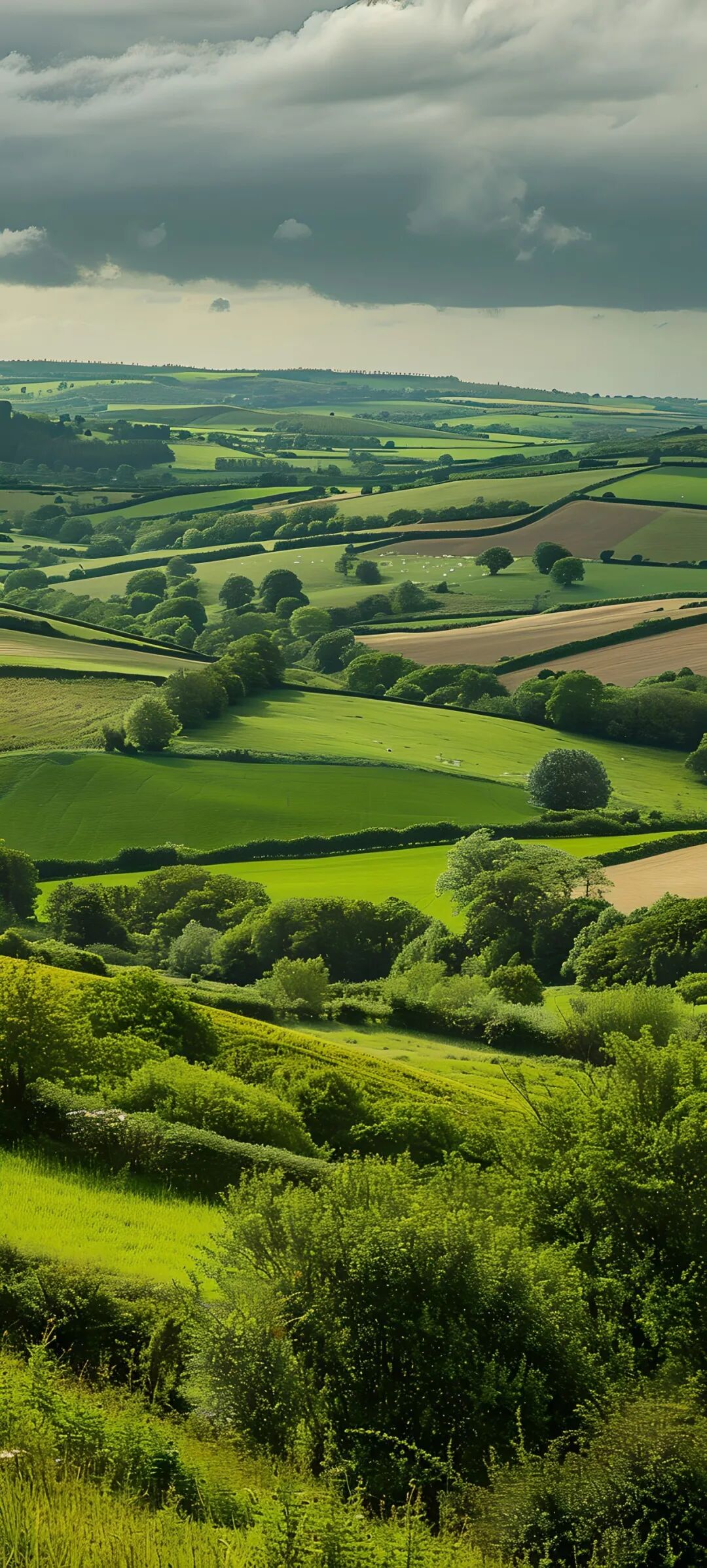 壁纸 草原 桌面 1080_2395 竖版 竖屏 手机