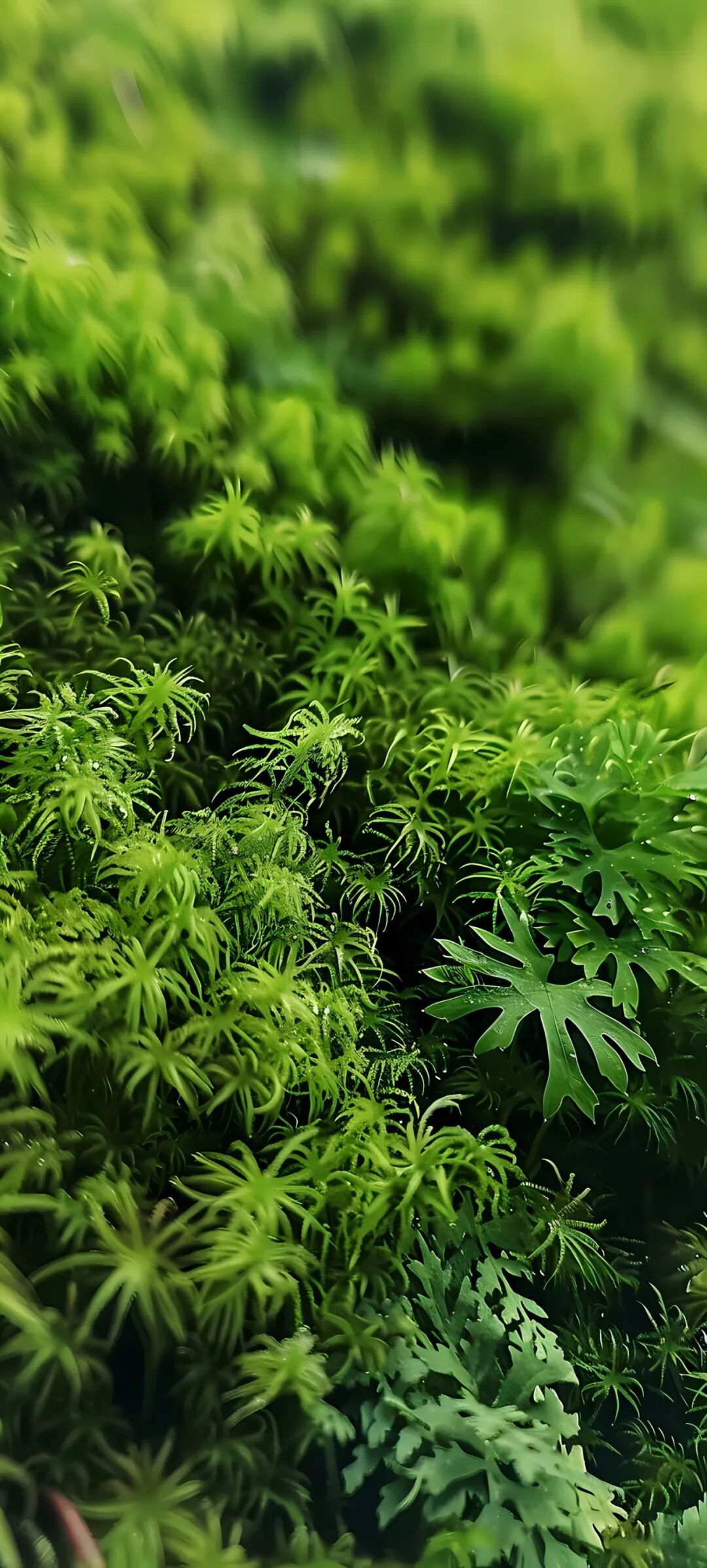 极简风高清壁纸图片适配iphone15promax