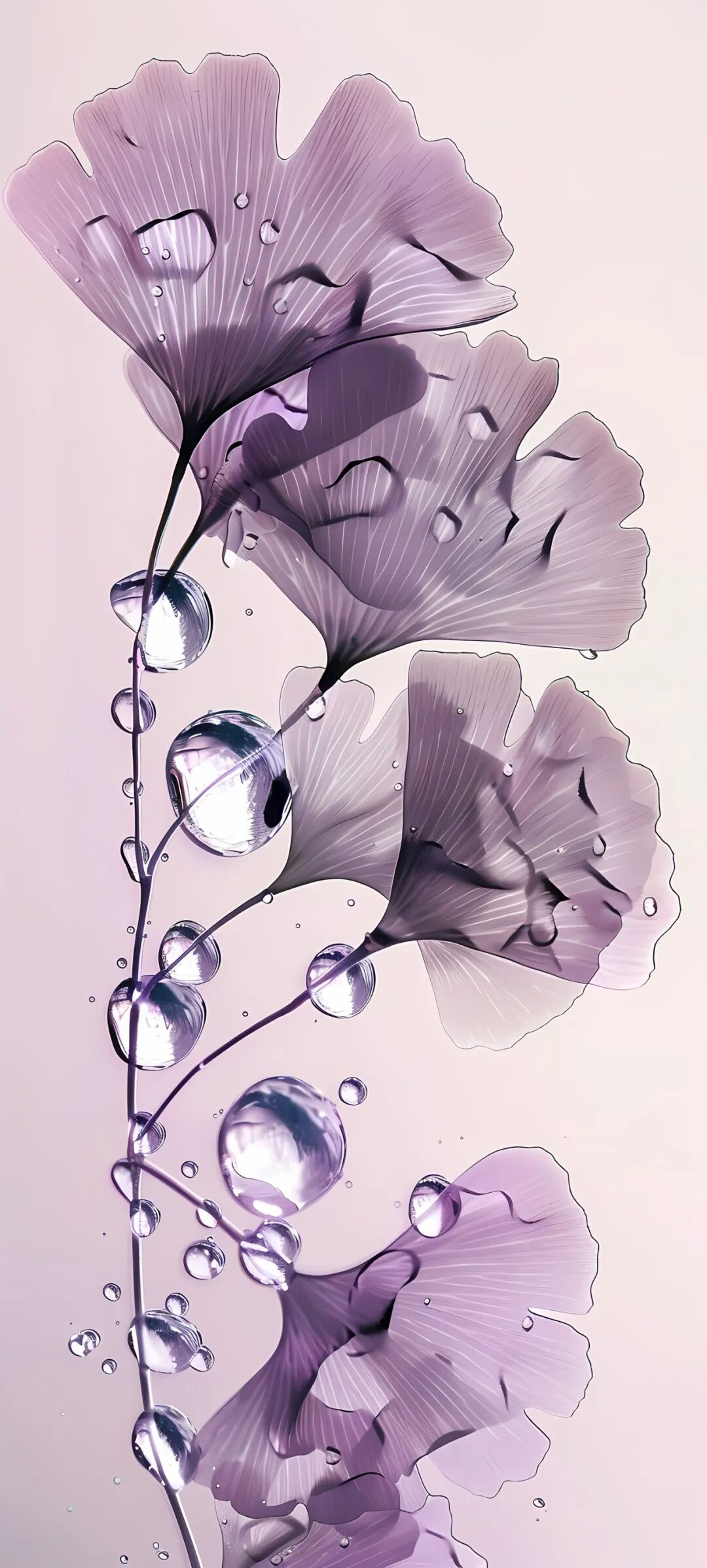 极简风高清壁纸图片,适配iphone 15 pro max