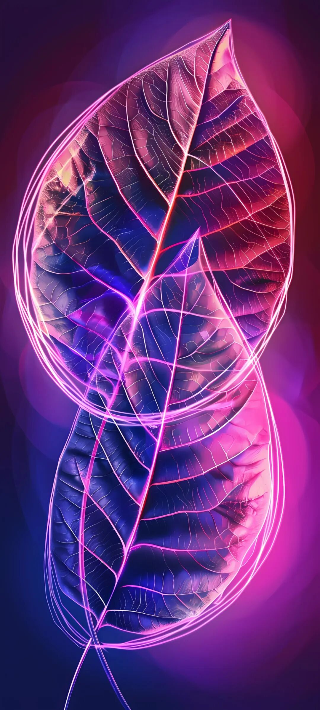 手机壁纸好看的霓虹灯光高清壁纸免费分享