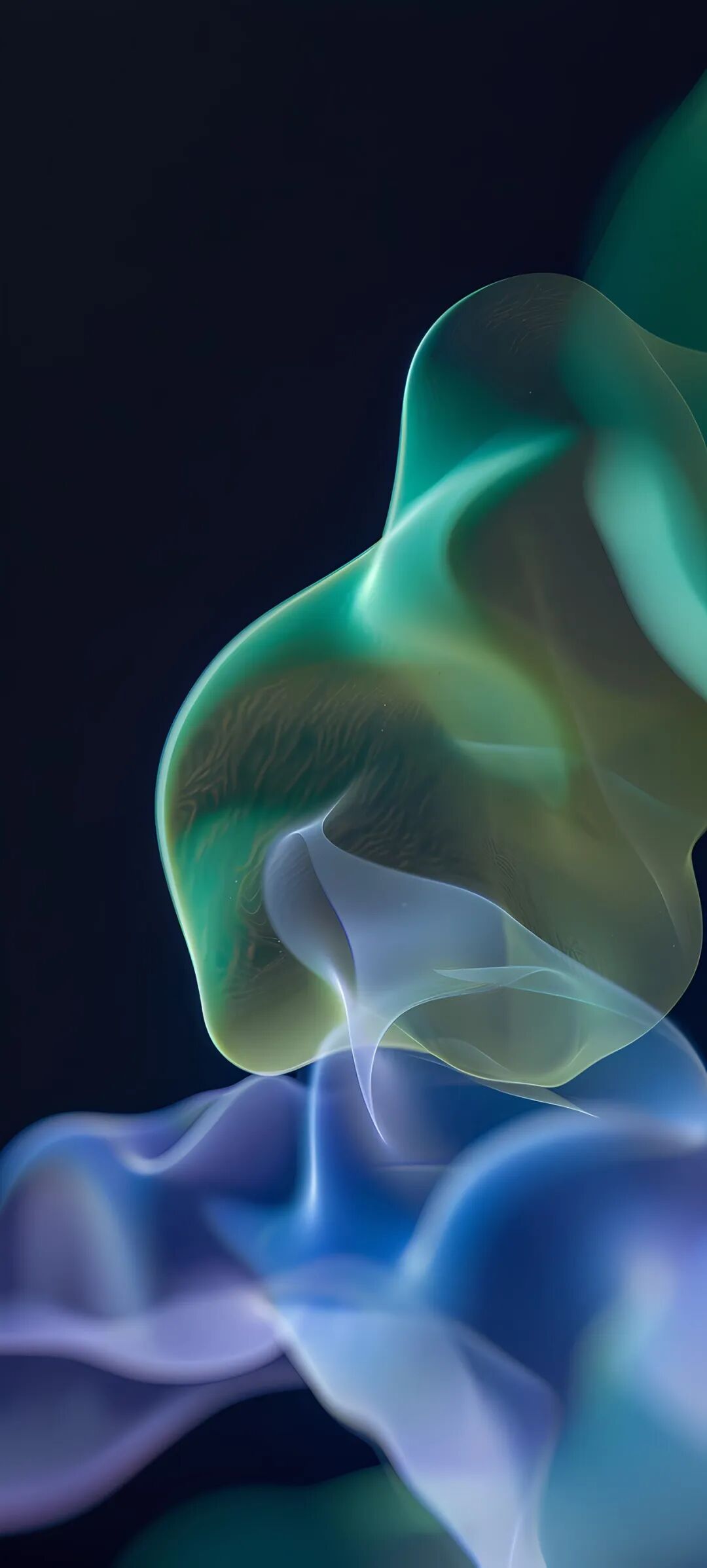 1080_2395 竖版 竖屏