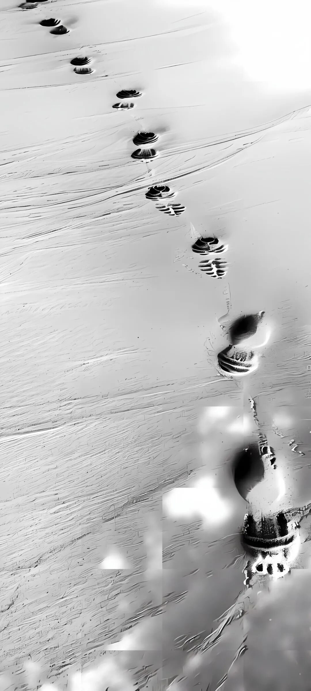 创意和意境受青睐,提供多种类型和画质的壁纸选择,支持全面屏显示和多