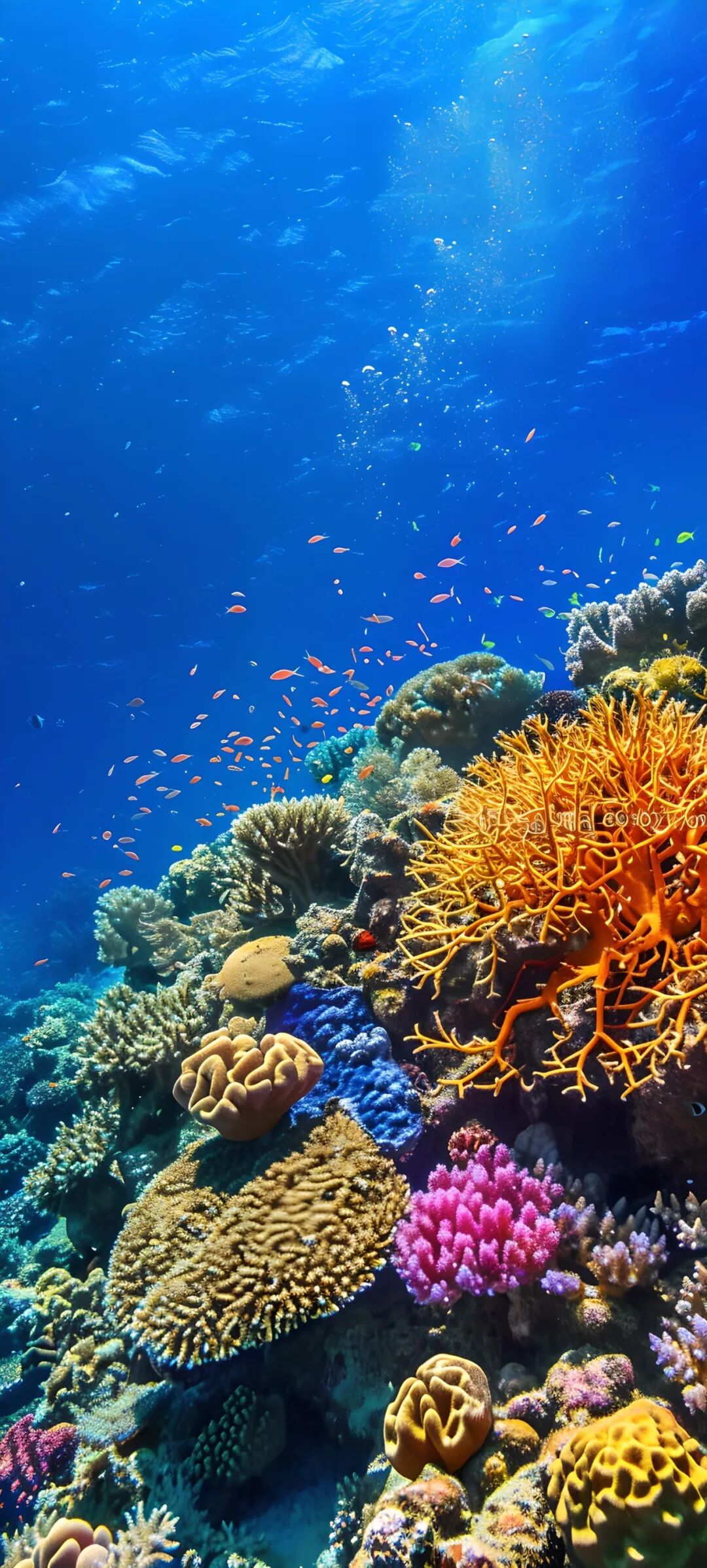 壁纸 桌面 1080_2395 竖版 竖屏 手机