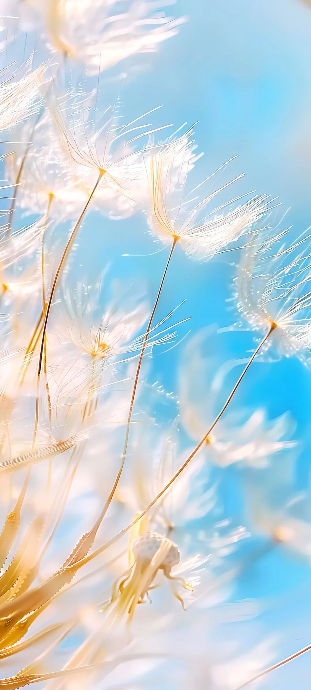 手机壁纸简单好看的超清壁纸适配苹果iphone15promax