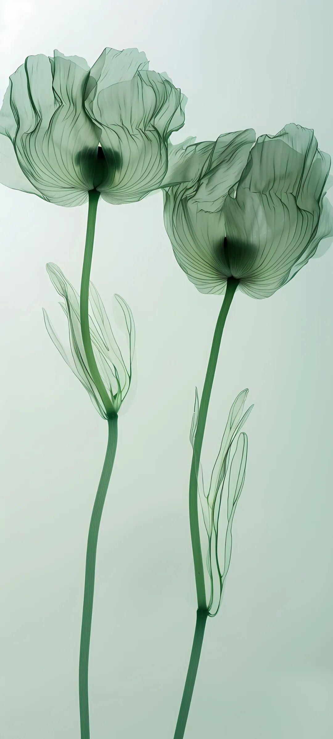 简约抽象手机壁纸图片,快快换上!