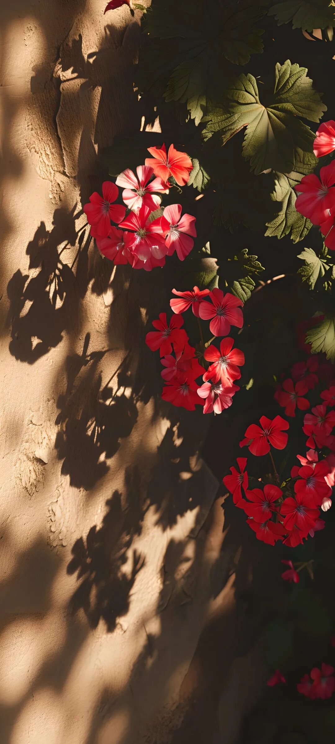 唯美鲜花手机壁纸全面屏适用高清原图