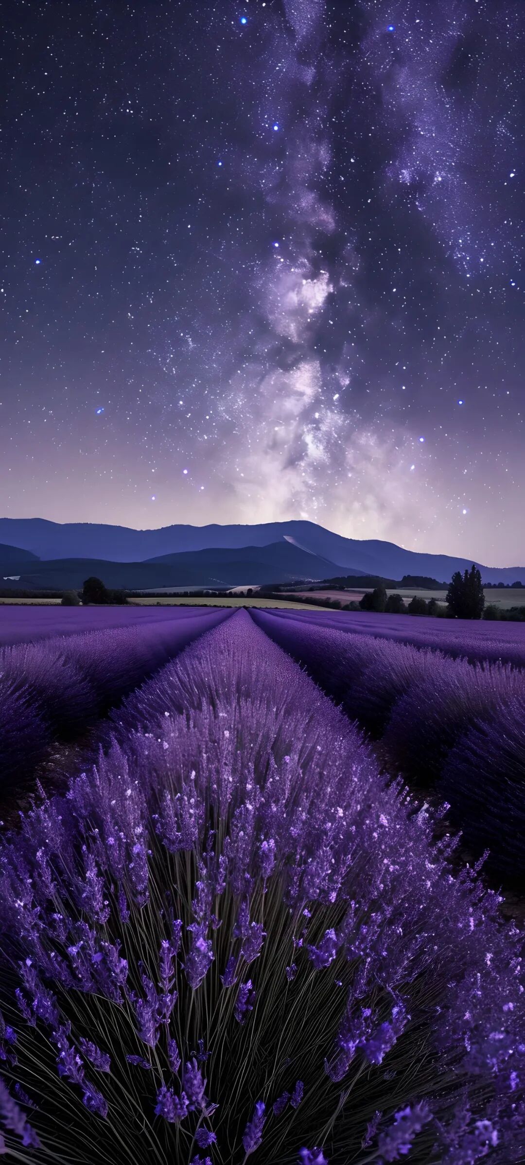 唯美鲜花手机壁纸全面屏适用高清原图