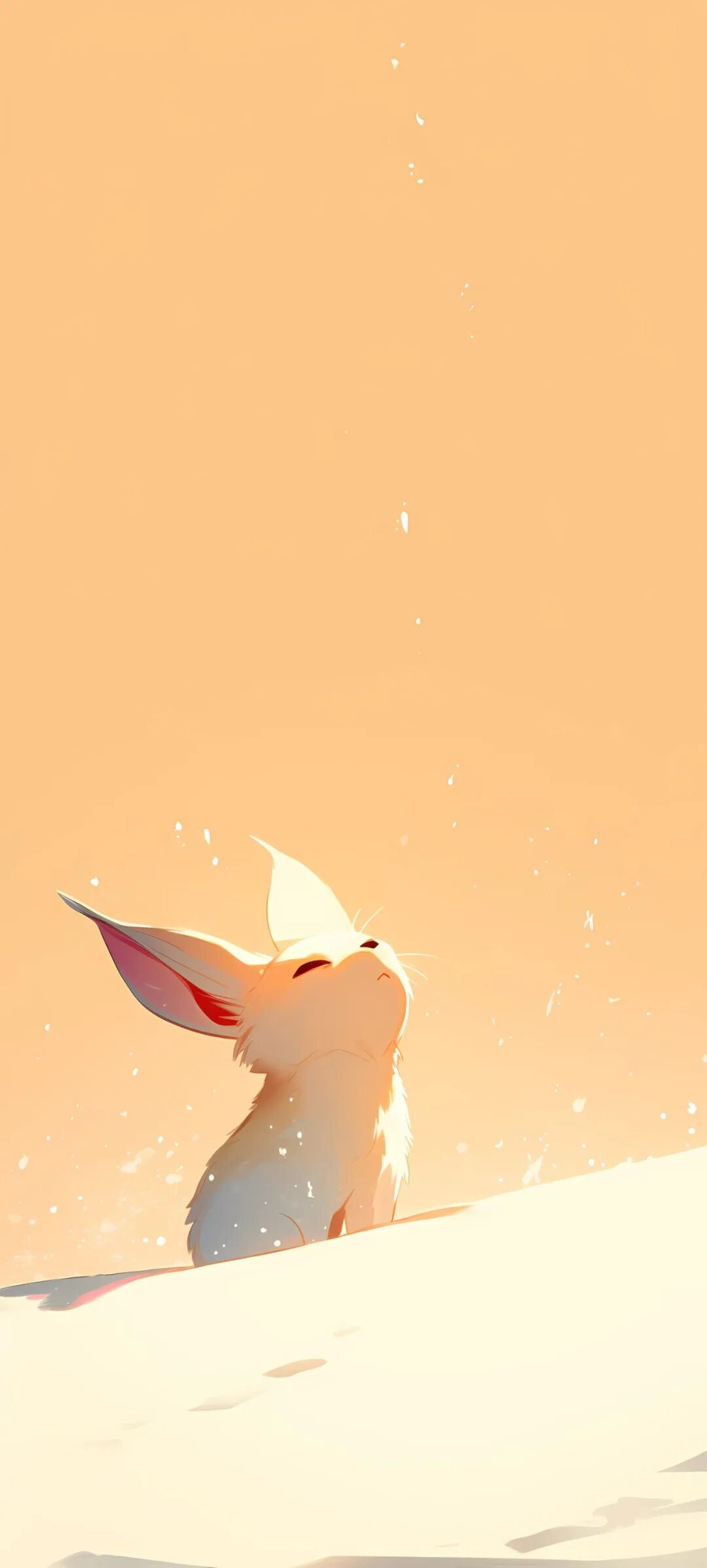 今日份动物手机壁纸一群大自然的萌物