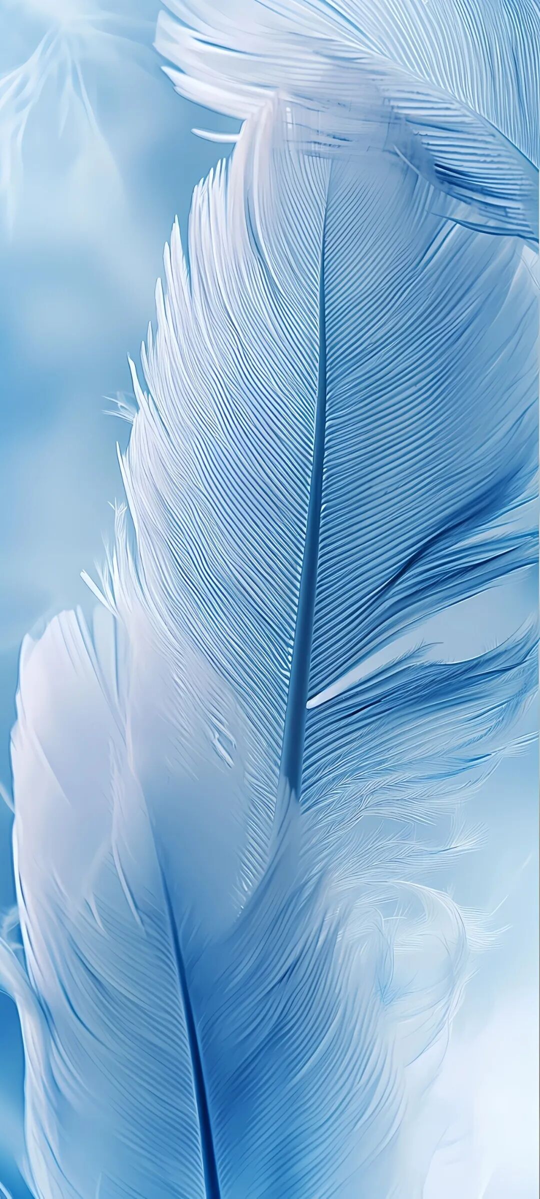 手机壁纸ios极简壁纸简约不简单原图分享