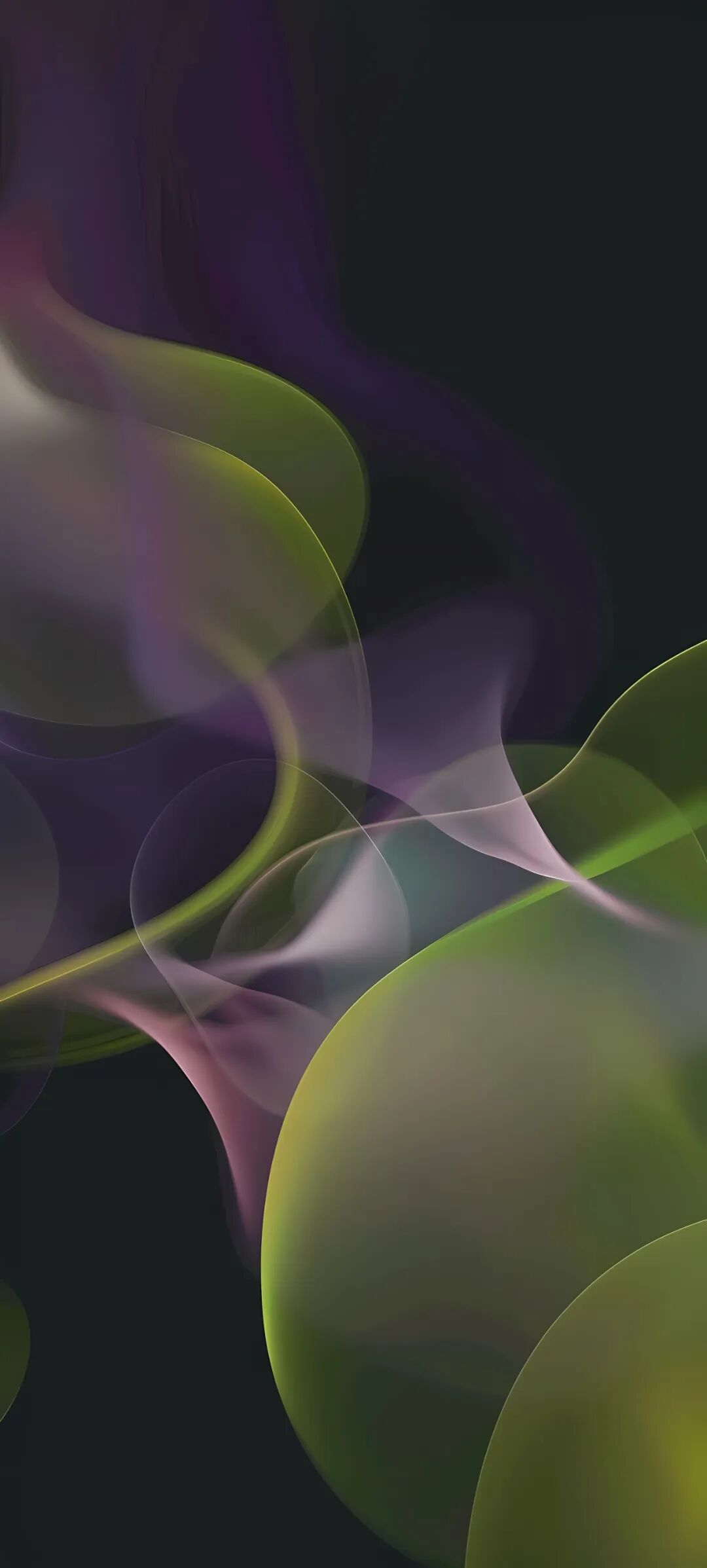 壁纸 花 桌面 1080_2395 竖版 竖屏 手机