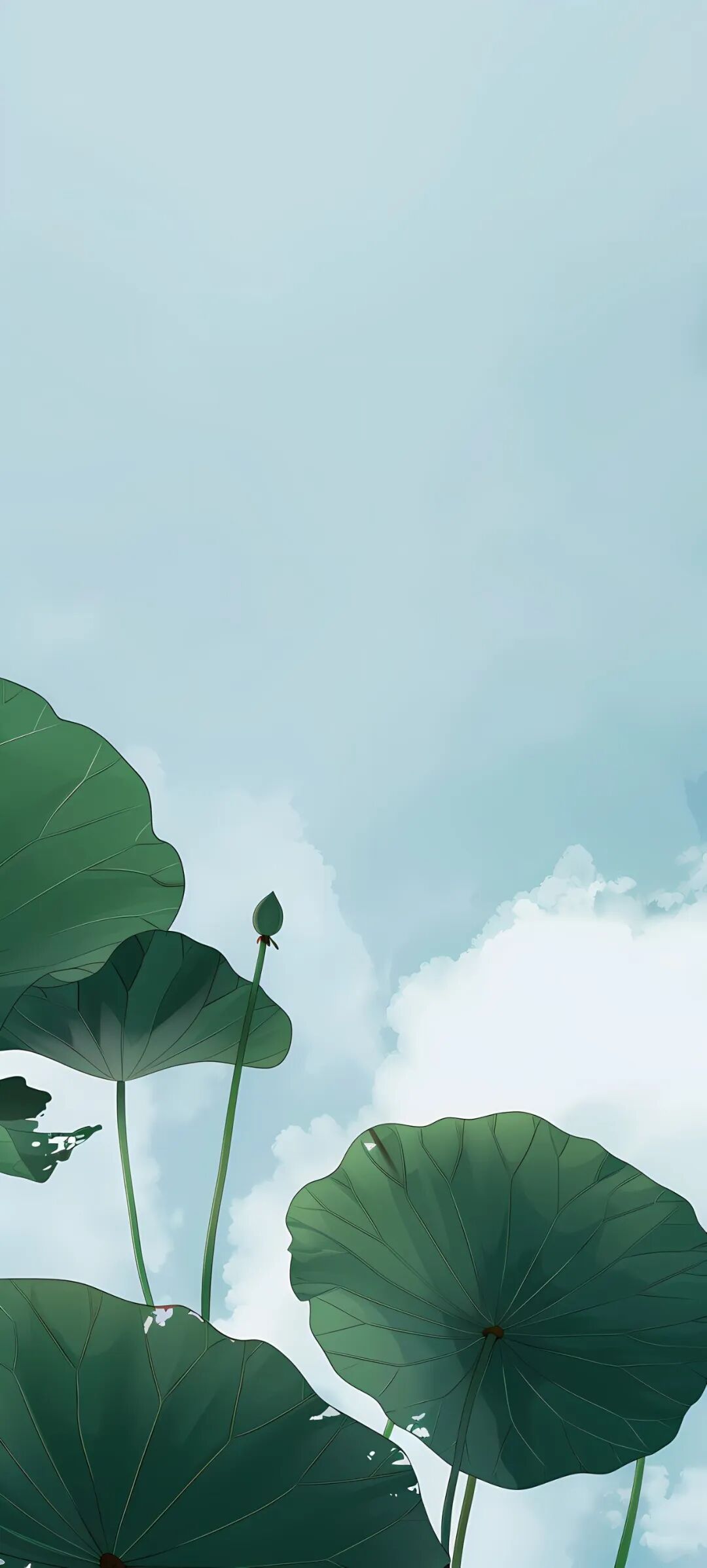 手机壁纸|极简主义风格壁纸图片,超清版免费分享