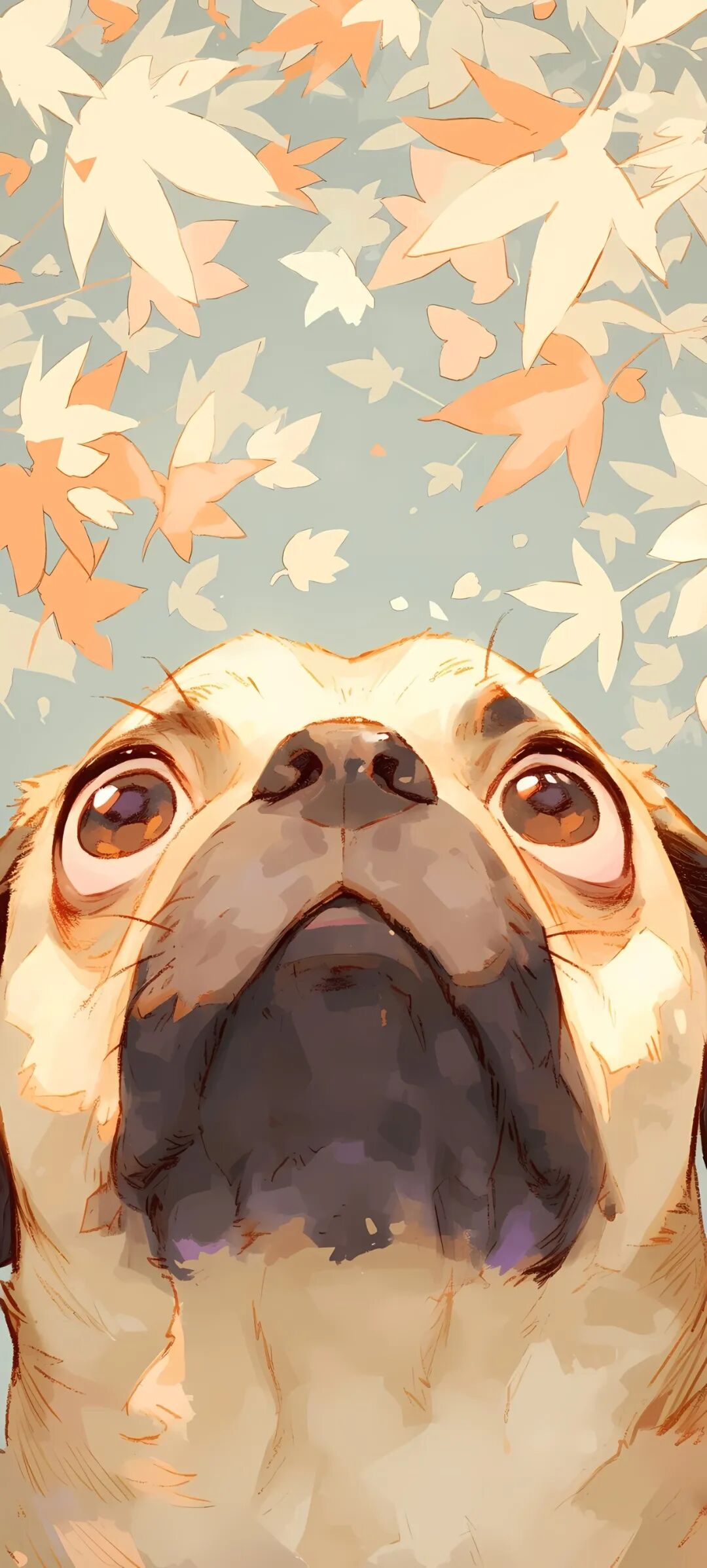 手机壁纸超级可爱超萌狗狗壁纸图片一键换上