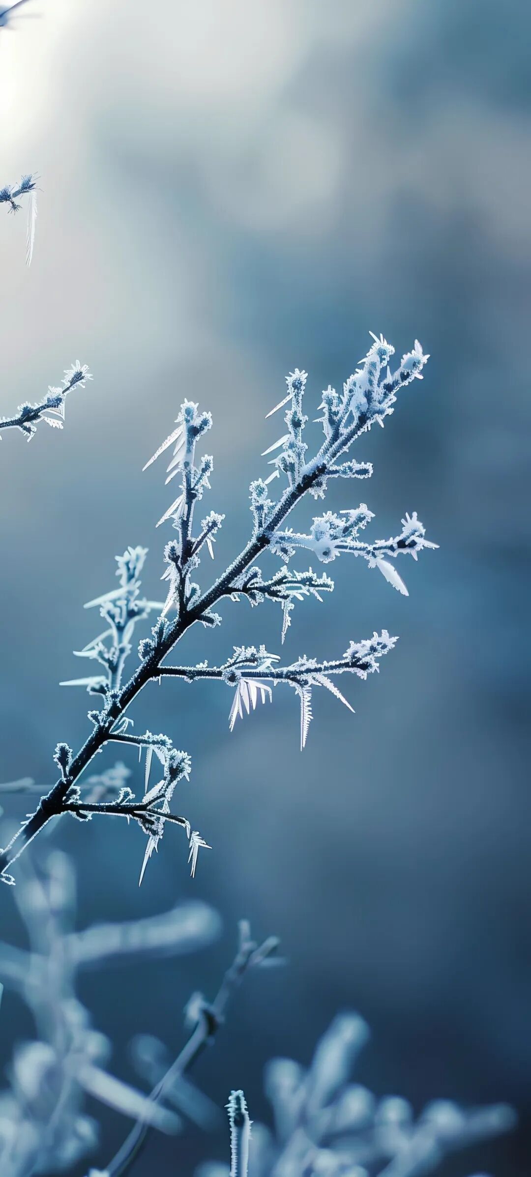 高质量简约手机壁纸图片,可直接保存下载!