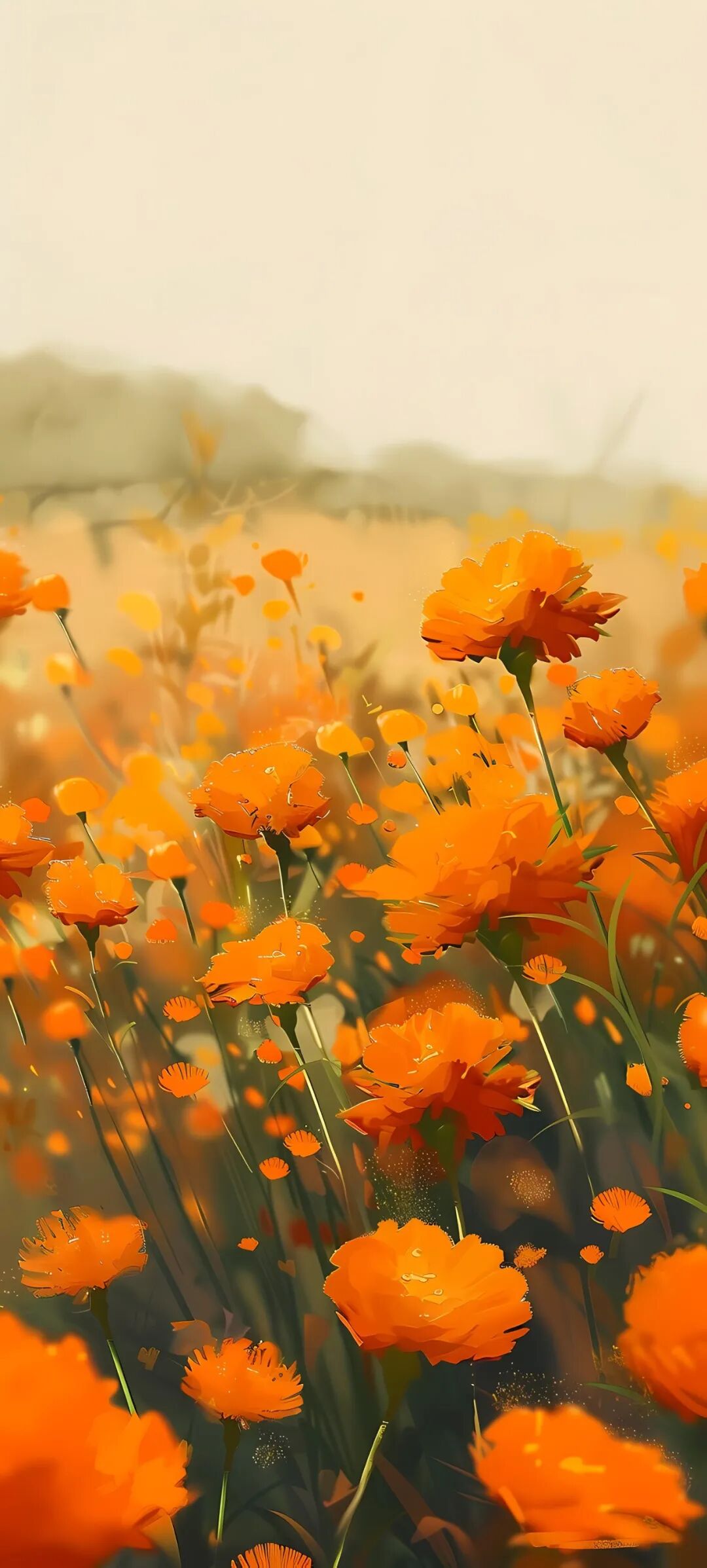 好看的手机高清壁纸适配小米redminote12tpro